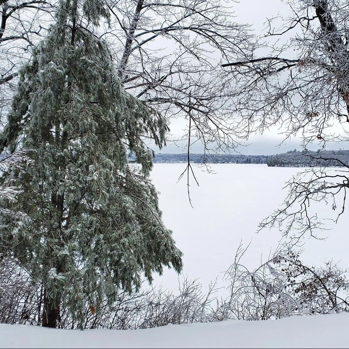 winter